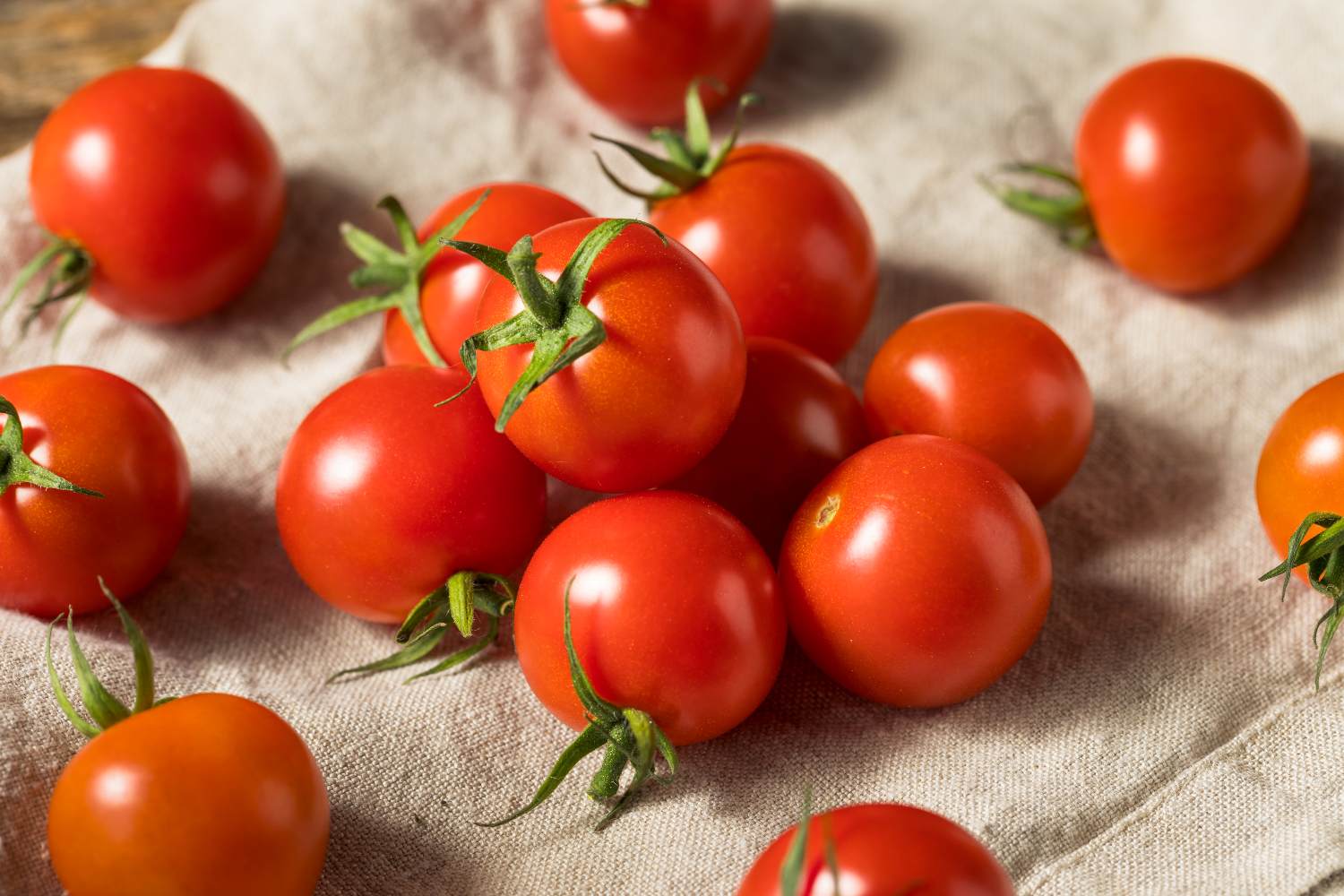Ako si na balkóne vypestovať chutné cherry paradajky?
