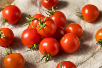 Ako si na balkóne vypestovať chutné cherry paradajky?